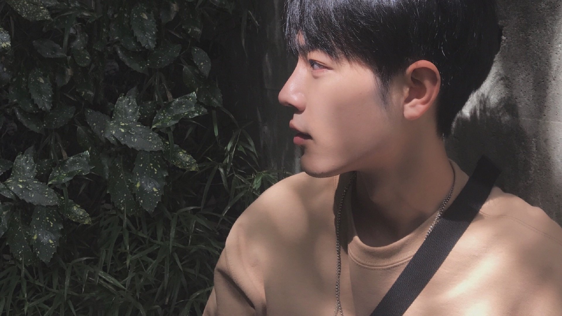 中国篮球联赛赛程优化方案研究，中国篮球竞赛体系