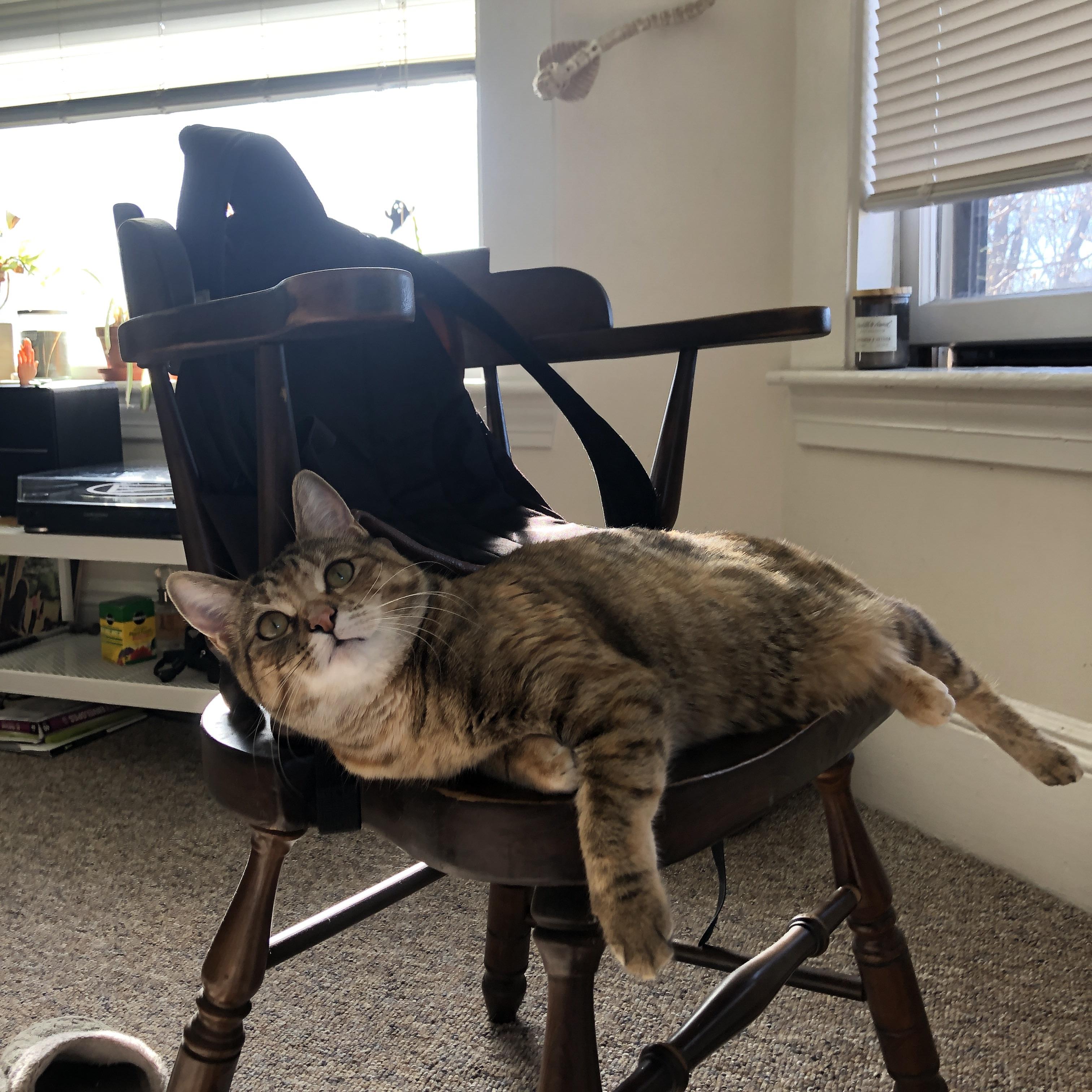 高校运动心理干预机制及效果评估,高校心理干预案例