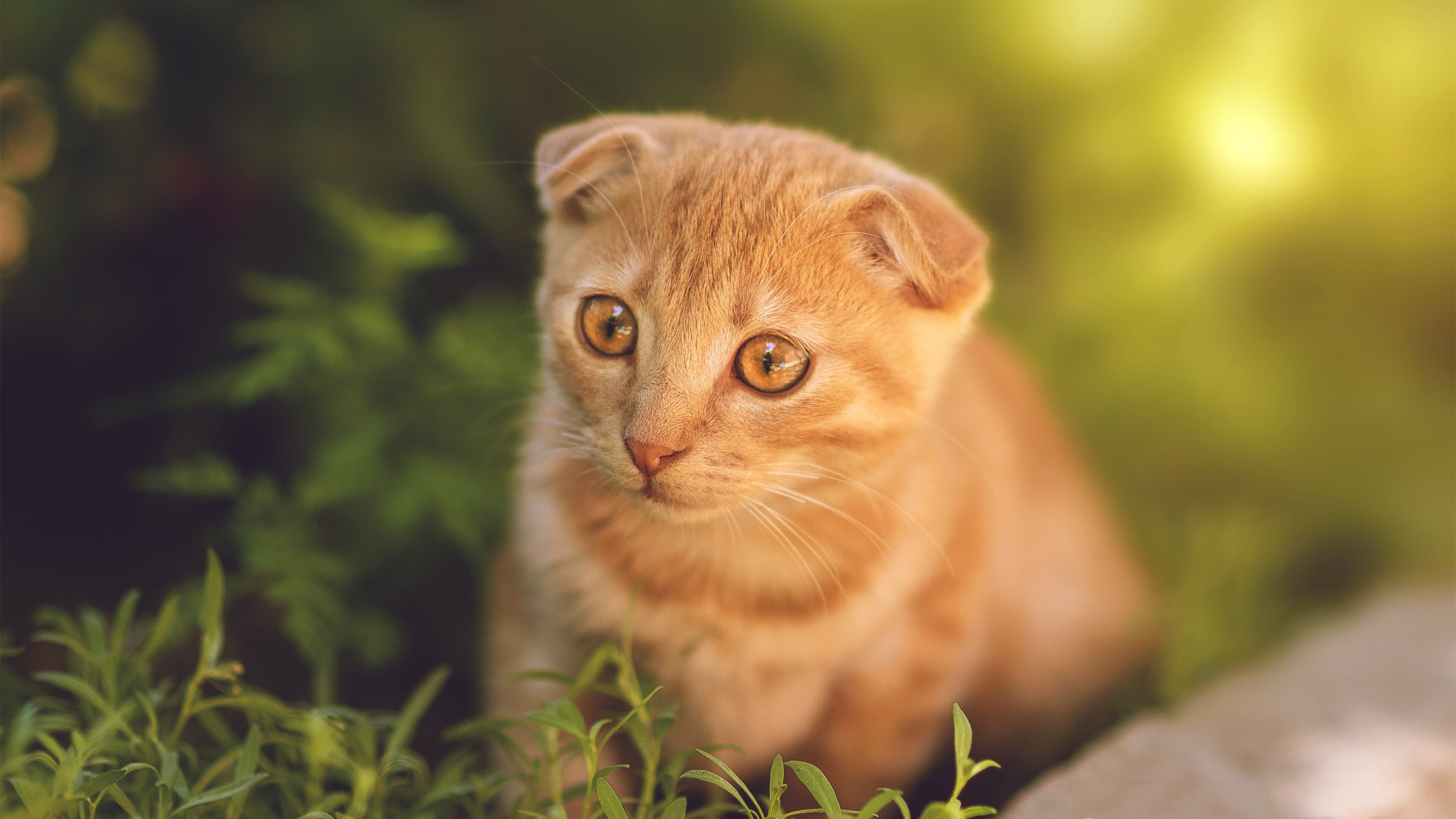 “羽毛球:简阳文体中心赛场高速对决,赛点难分难解”