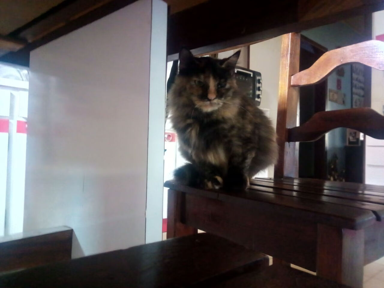 东亚杯国足战胜 球员技术进步显著,中国足球东亚杯