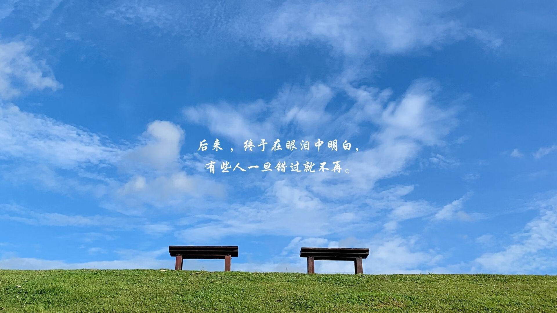 体育文化沙龙走进城市书屋激发公众兴趣,体育文化街