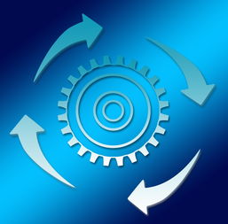 开云官方-体育新闻中心启动体育内容原创人才培养专项，体育新闻专题报道