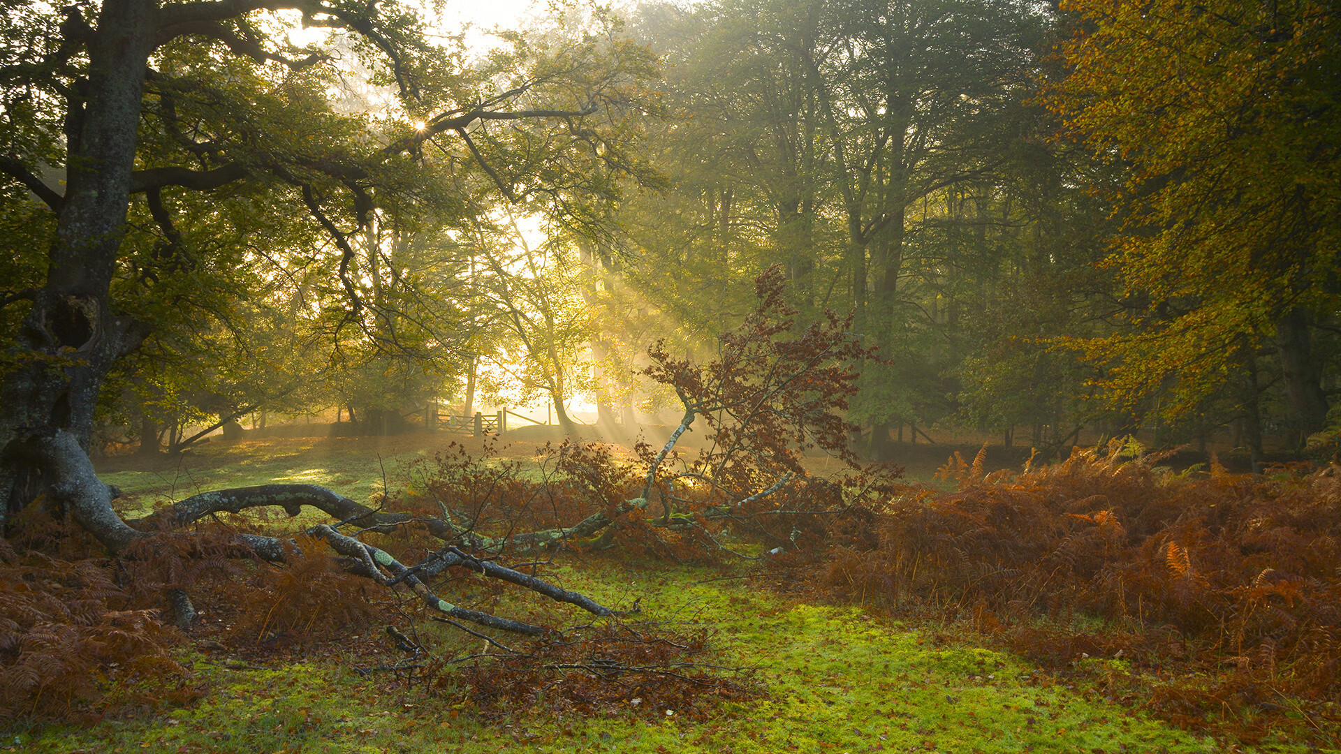 开云中国-“费尔南多·比亚尔巴：阿根廷美洲狮队的进攻灵魂，未来仍有巨大潜力”