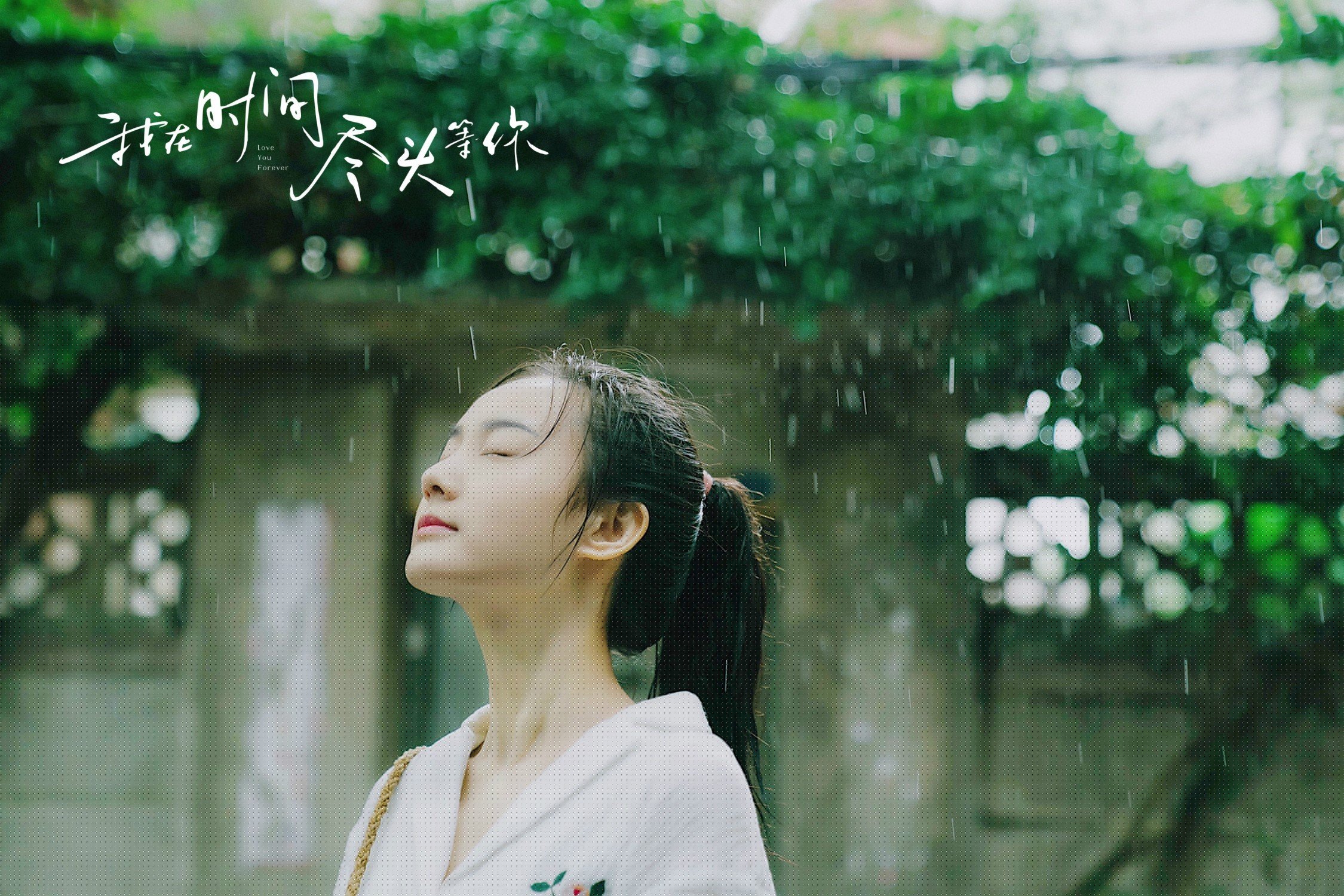 世界杯激热对决:梦想成真!,世界杯集锦视频