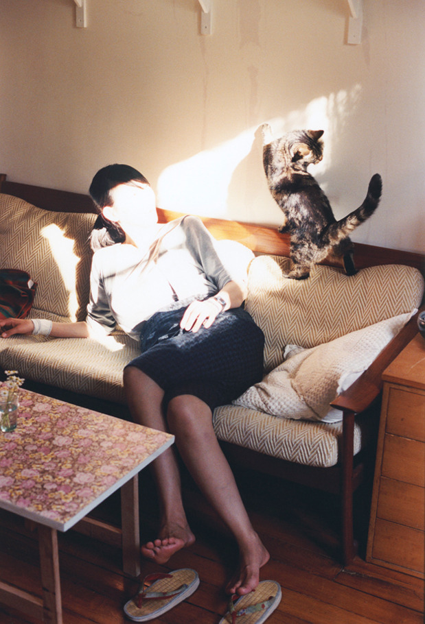 世界杯赛场的未来建筑设计趋势,世界杯规划