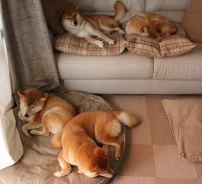 中小学篮球推广篮球礼仪教育培养良好运动习惯,中小学生篮球训练教案