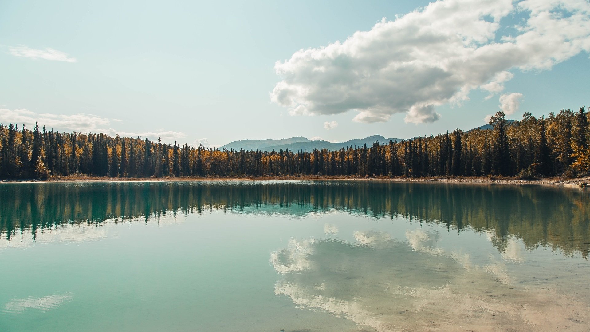 国足中场悍将伤退引发担忧,国足中场悍将伤退引发担忧的球员