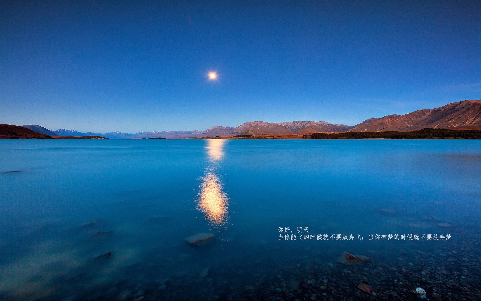 国际邀请赛落幕,黑马国家赢得尊重与认可,国际邀请赛互动指南预测