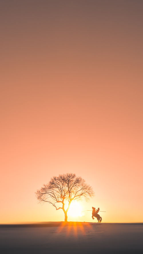 戴维·帕特森助袋鼠队攻守兼备,打破对方防线,戴维帕特尔