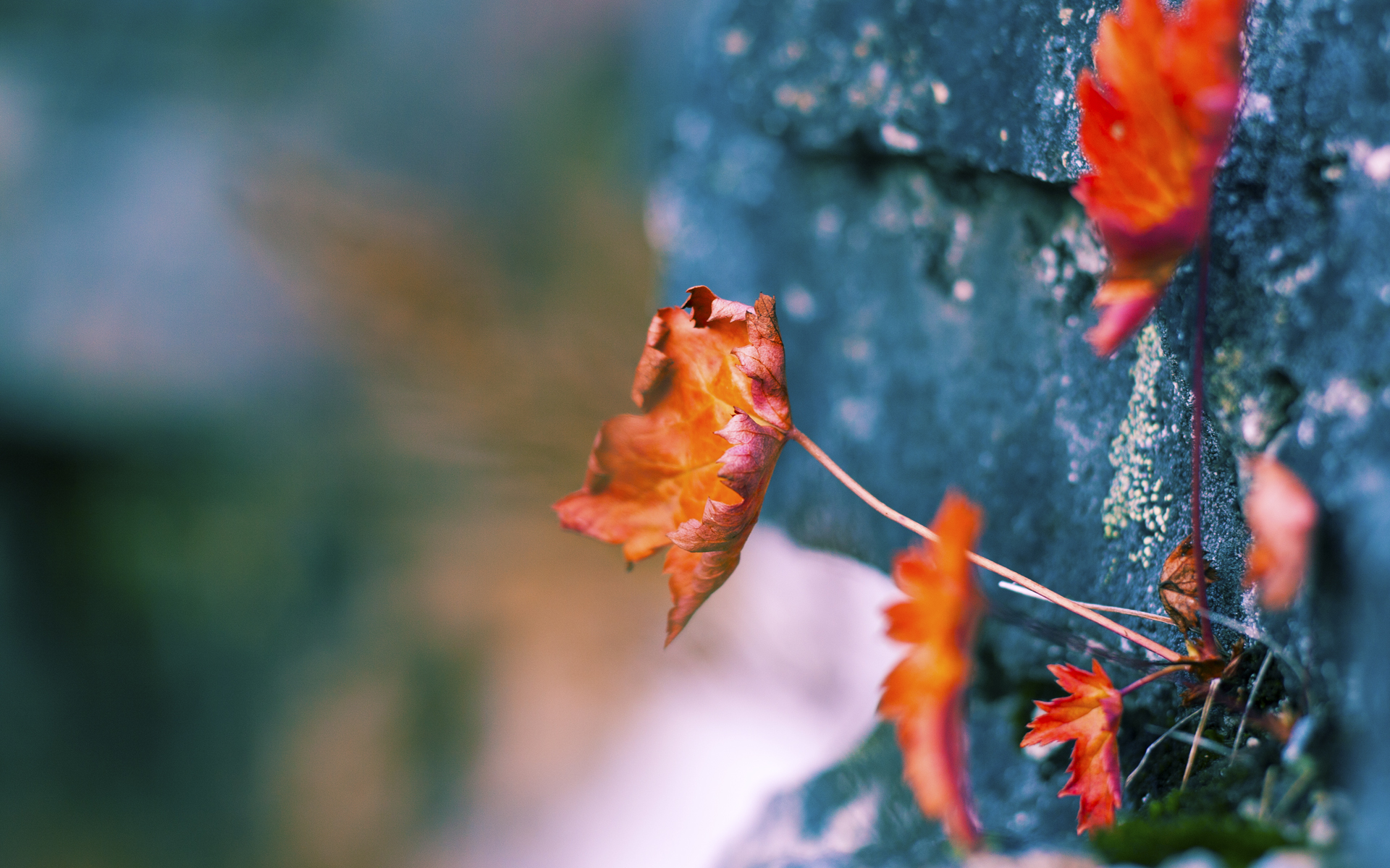 皮特·斯图斯:无所不能的防守大师,斯图皮特进阶题