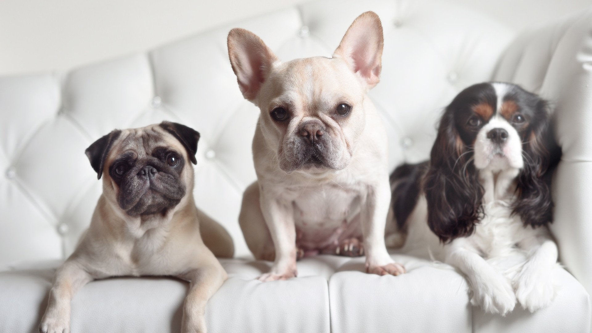 开云官方网页登录-中国篮球文化元素在文创产品设计课程中的转化路径，篮球文化墙内容设计方案